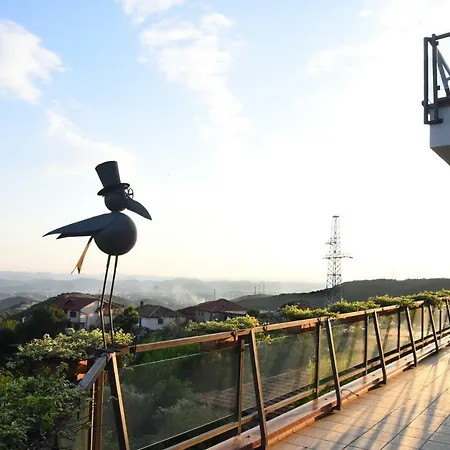 #ioniahouse Surrel 别墅