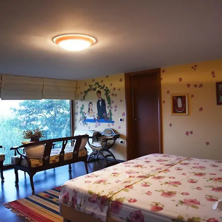 #ioniahouse Surrel *